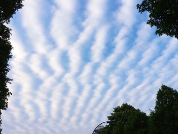 Low angle view of trees against cloudy sky