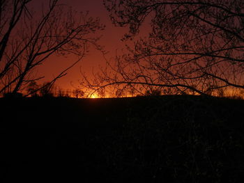 Silhouette of bare trees at sunset