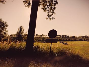 Scenic view of grassy field against sky