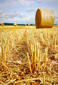 Close-up of hay bales on field against sky