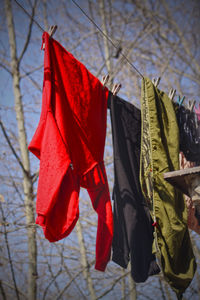 Close-up of clothes drying on dry leaves