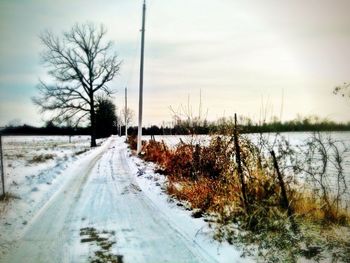 Road passing through field