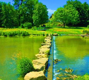 Scenic view of lake against trees