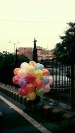Close-up of multi colored flowers on railing against building in city