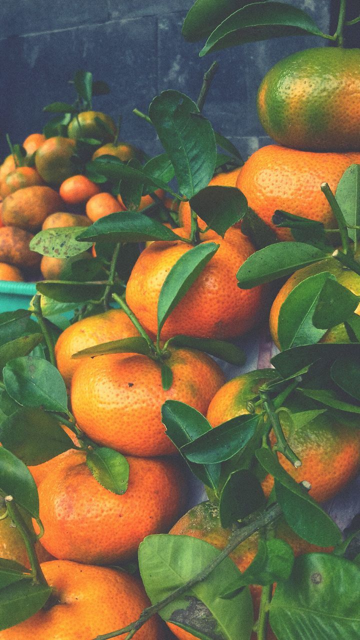 CLOSE-UP OF ORANGE FRUIT AND VEGETABLES