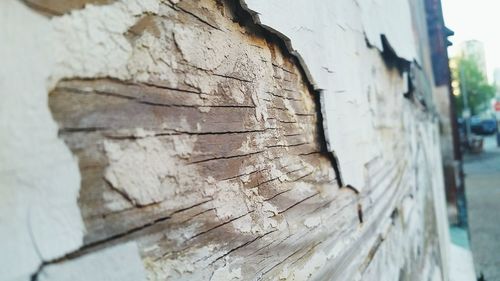 Close-up of weathered wood