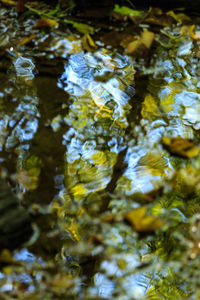 Full frame shot of lake