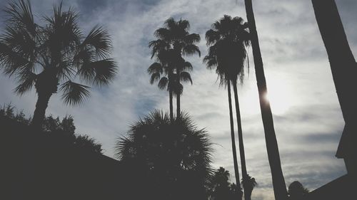 Low angle view of tree against cloudy sky