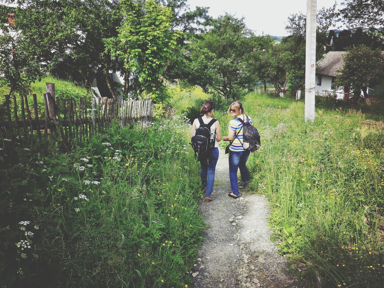 full length, lifestyles, rear view, leisure activity, walking, casual clothing, tree, the way forward, grass, green color, growth, footpath, plant, men, nature, day, person