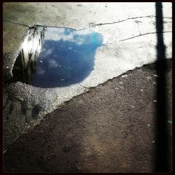 Reflection of trees in puddle