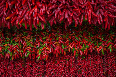 Full frame shot of red chili peppers