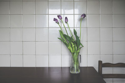 Potted plant on table at home