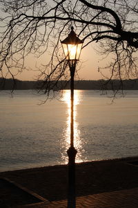 Silhouette bare tree by sea against sky during sunset