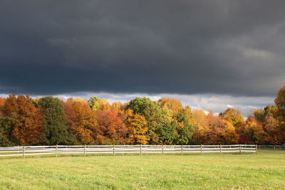 Trees on field against sky during autumn