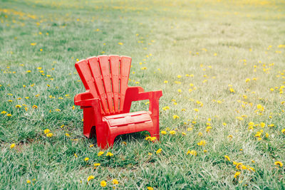 One red wooden plastic muskoka adirondack chair standing on green grass 