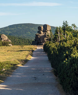 Footpath amidst trees on landscape against sky