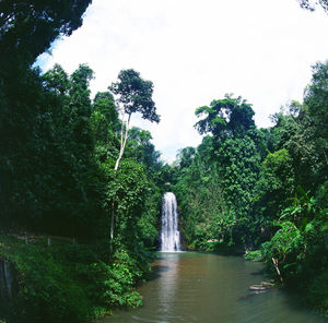 Scenic view of waterfall in forest against sky