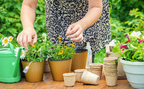 Midsection of woman holding potted plants