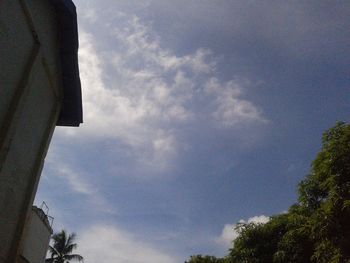 Low angle view of trees against sky