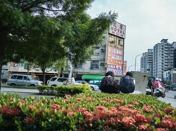 View of street amidst plants in city