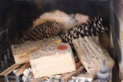 Close-up of logs