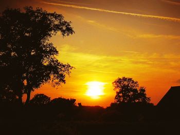 Silhouette trees against sky during sunset