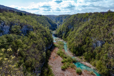 Scenic view of river in forest against sky