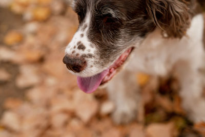 Fall Photos