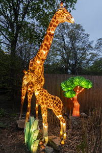 View of giraffe against trees on field