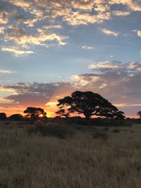 Scenic view of field against sky during sunset