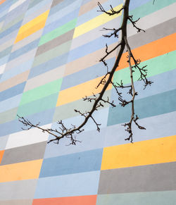 Low angle view of tree against wall