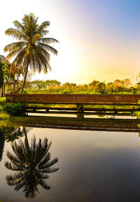 Scenic view of river against clear sky