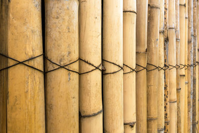 Full frame shot of bamboos