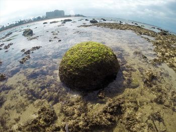 Scenic view of rocks in sea against sky