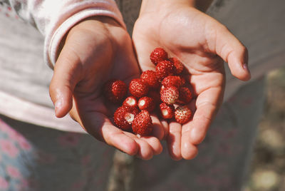 Midsection of person holding strawberry