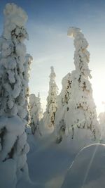 Snow covered mountain against sky