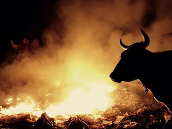 Close-up of silhouette bonfire against sky at night