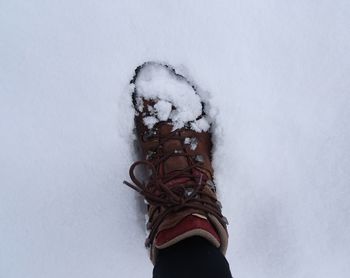 Low section of man standing on snow