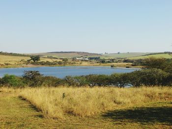 Scenic view of river against clear sky