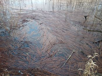 Close-up of frozen lake