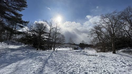 snow