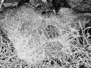 High angle view of snow on field