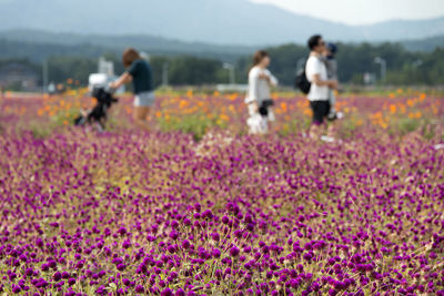 Woman with flowers on field