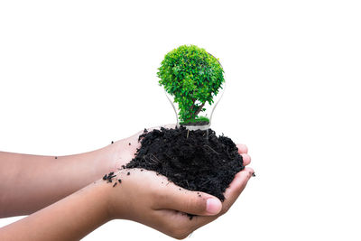 Midsection of woman holding plant against white background