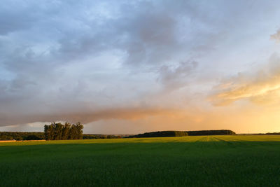 Scenic view of field against sky during sunset