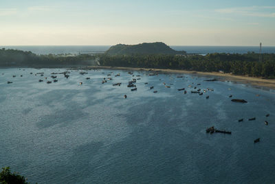 High angle view of birds in sea against sky