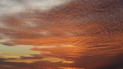 Low angle view of orange sky