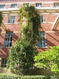 View of residential building