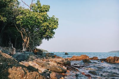 Scenic view of rocks by sea against sky
