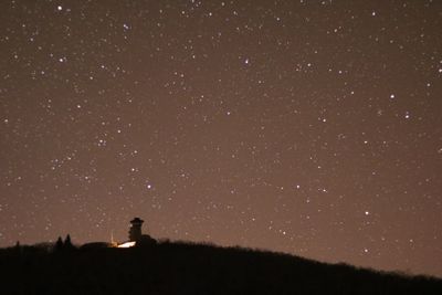 Low angle view of silhouette trees against sky at night